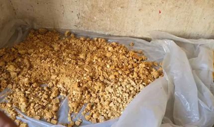 दीवाली से पहले सिरसा में नकली मिठाई का खुलासा, फैक्ट्री से 400 किलो बर्फी जब्त