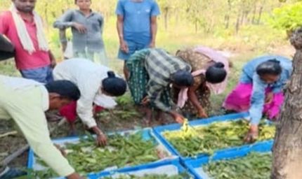 तसर पालन से बढ़ेंगे ग्रामीणों की आमदनी के अवसर
