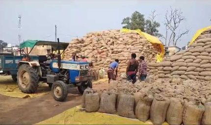 धान बेचने के लिए अब सोसायटियों में लंबी कतारों की जरूरत नहीं, ‘तुंहर टोकन’ एप से घर बैठे मिलेगा टोकन