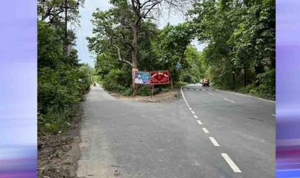 भोपाल के जंगलों से गुजरेंगी 60 मीटर चौड़ी सड़कें, बाघों के मूवमेंट पर मंडराया खतरा