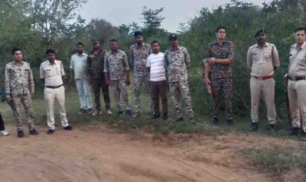 कूनो में चीते की गोली मारकर हत्या का मामला, 6 वनकर्मी सस्पेंड और STF गठित