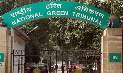 शाहपुरा तालाब मामले में NGT सख्त, भोपाल प्रशासन को रिपोर्ट पेश करने के लिए मिला 3 हफ्ते का समय