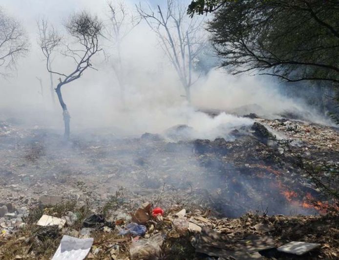 मोहाली में स्वराज ट्रैक्टर फैक्टरी के पास झाड़ियों में लगी आग, दमकल की कई गाड़ियां पहुंचीं