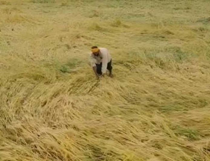 12 अक्टूबर तक पूरा होगा फसल क्षति का डिजिटल सर्वे, प्रभावित किसानों को मिलेगी नियमानुसार सहायता
