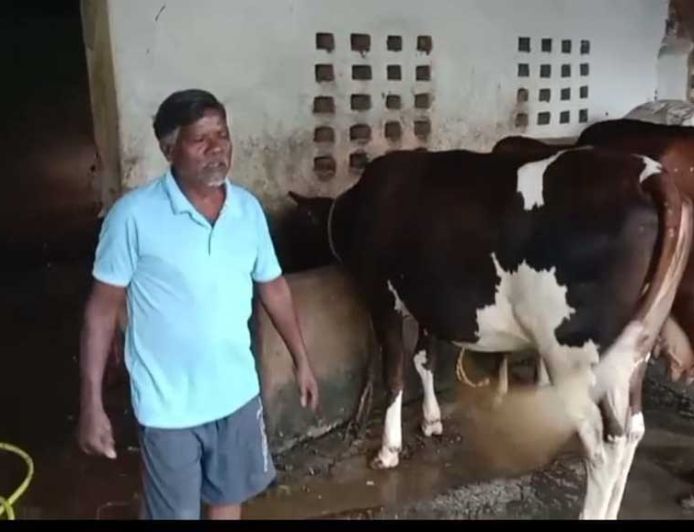 एक गाय से शुरू हुआ सफर, आज 10 पशुओं का समृद्ध पशुधन