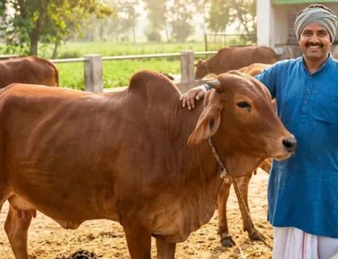 यूपी में पशुपालकों को बड़ी राहत, अब गुजरात-राजस्थान जाए बिना खरीद सकेंगे साहीवाल और गिर गाय