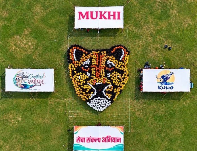ह्यूमन रंगोली अन्तर्गत महिलाओं एवं छात्राओं ने बनाई मादा चीता मुखी की विशाल प्रतिकृति