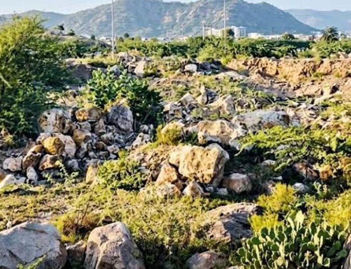 राजस्थान में संकट में अरावली की छोटी पहाड़ियां, निर्माण और खनन से 50% तक चट्टानें नष्ट