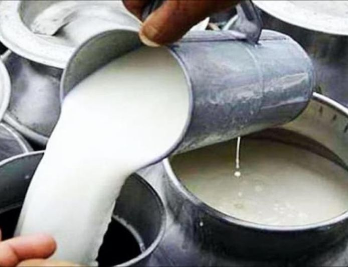 बिहार में डेयरी फार्म खोलने पर मिलेगी 75% तक सब्सिडी, सरकार दे रही 8 लाख रुपये से ज्यादा की मदद