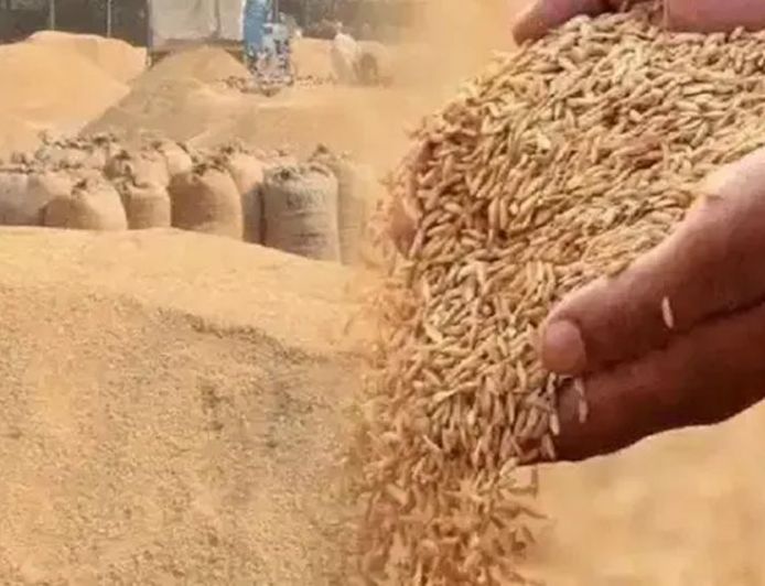 झारखंड के किसानों को अब धान पर मिलेगा ₹109 प्रति क्विंटल बोनस, सरकार पर पड़ेगा ₹43.60 करोड़ का अतिरिक्त बोझ