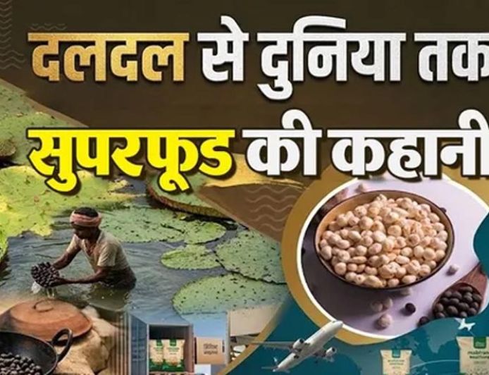 बिहार के मखाने का दुनिया में दबदबा, तालाबों से निकलकर न्यूयॉर्क-लंदन तक पहुंचा मिथिला का ‘सफेद मोती’