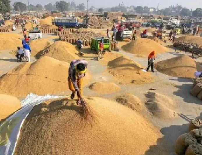 हरियाणा की मंडियों में 30.69 लाख टन धान की खरीद, किसानों के खातों में पहुंचे ₹4,263 करोड़