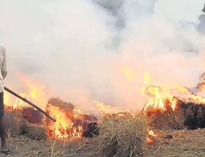 तरनतारन में पराली जलाने से रोकने पहुंचे अधिकारी पर हमला, 90 किसानों के खिलाफ केस दर्ज