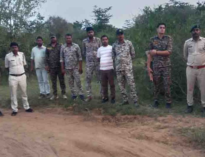 कूनो में चीते की गोली मारकर हत्या का मामला, 6 वनकर्मी सस्पेंड और STF गठित