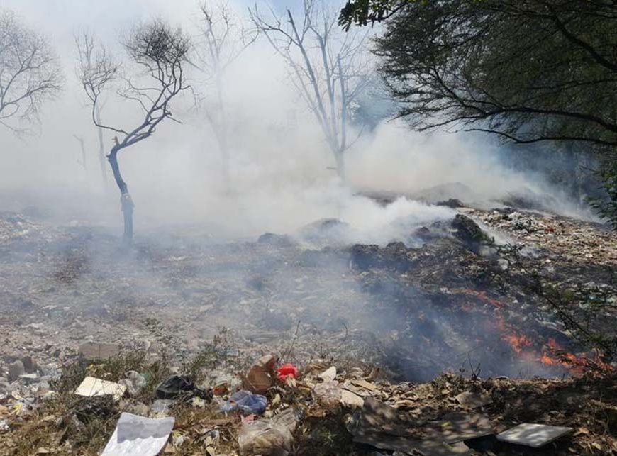 मोहाली में स्वराज ट्रैक्टर फैक्टरी के पास झाड़ियों में लगी आग, दमकल की कई गाड़ियां पहुंचीं
