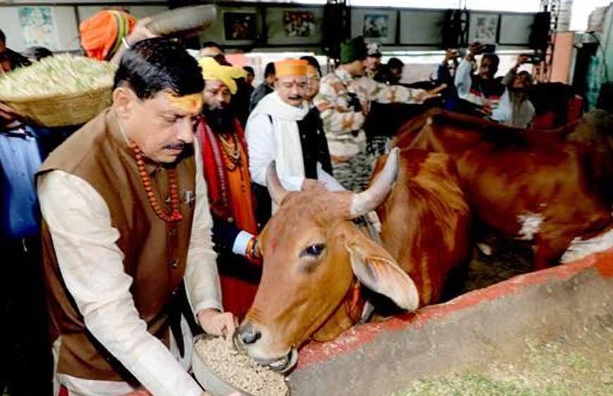 भोपाल में आदर्श गौ शाला स्थापित करने के कार्य को शीघ्र पूर्ण करें: मुख्यमंत्री डॉ. यादव