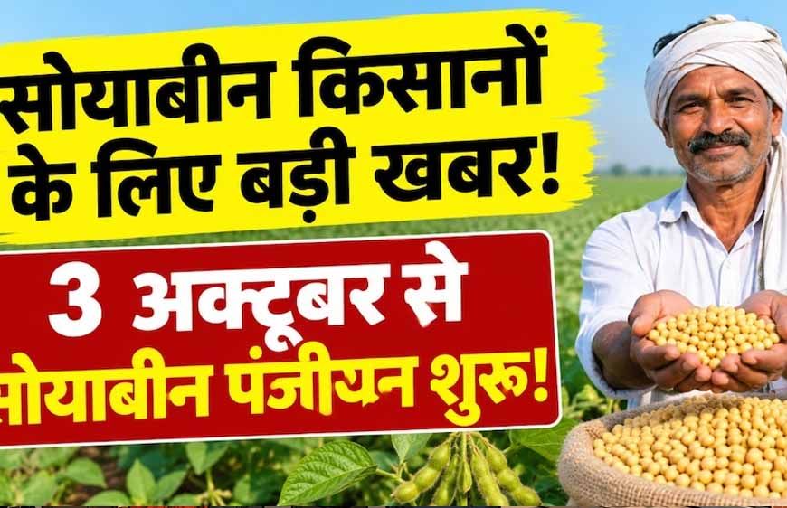 3 अक्टूबर से सोयाबीन पंजीयन शुरू, भावांतर योजना में फिर होगी खरीदी; ₹1 से वेरिफिकेशन