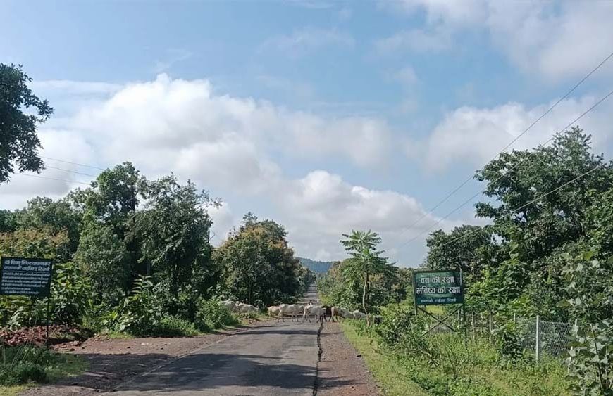 CG से मानसून की विदाई शुरू, दिन का तापमान बढ़ने से गर्मी बढ़ी