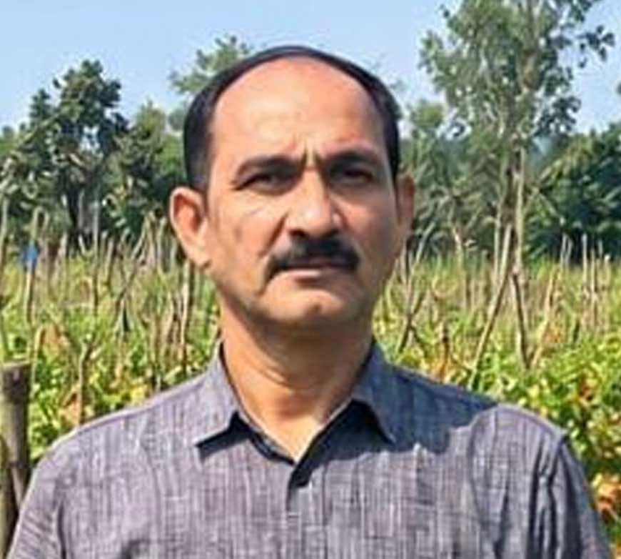 उन्नत टमाटर की खेती से शाहिद की मेहनत लाई रंग, 2 एकड़ में कमाए 1.20 लाख रुपये