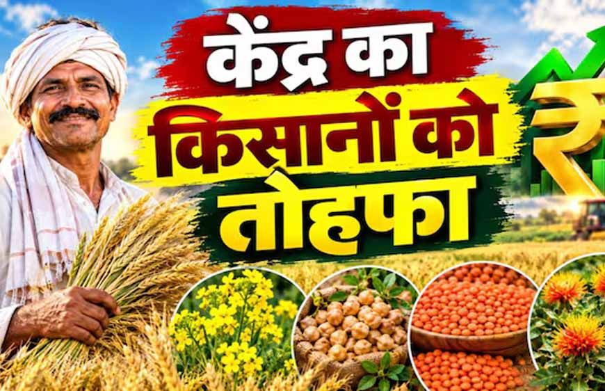 रबी फसलों के MSP में बढ़ोतरी, दलहन-तिलहन पर सरकार का खास जोर
