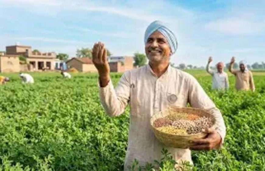 झारखंड में किसानों के लिए बड़ी राहत, सिर्फ 1 रुपये में रबी फसल बीमा का रजिस्ट्रेशन शुरू