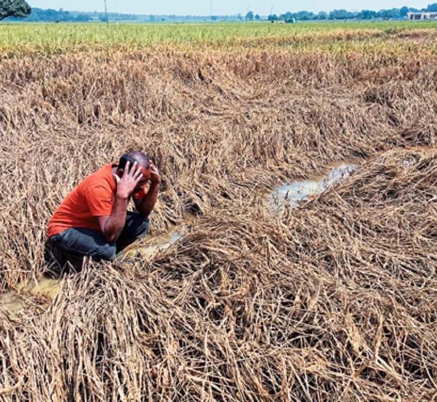 बस्तर में बाढ़ और तूफान से 4 हजार हेक्टेयर धान बर्बाद, किसानों को मिलेगा ₹10 हजार प्रति एकड़ मुआवजा
