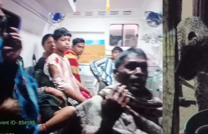 CG में घर में घुसे तेंदुए का आतंक, 6 लोगों पर किया हमला; 3 की हालत गंभीर