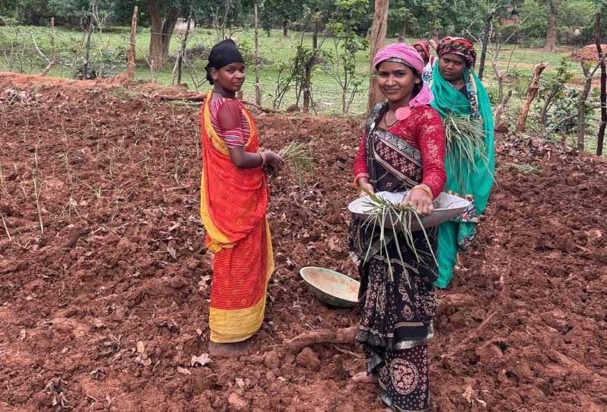 लेमन ग्रास की खुशबू से महक रही आत्मनिर्भरता, जीपीएम की महिलाएं बढ़ रहीं ‘लखपति दीदी’ बनने की राह पर