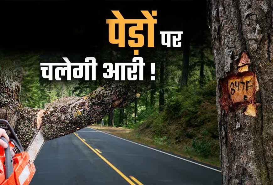 भोपाल मास्टर प्लान 2047 पर पर्यावरण की चिंता, 791 किमी सड़क नेटवर्क के लिए 2.89 लाख पेड़ों पर खतरा