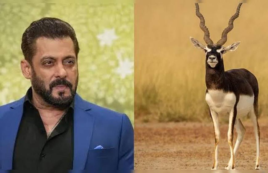 ‘काला हिरण’ फिल्म विवाद में सलमान खान से जवाब तलब, दिल्ली हाईकोर्ट में फिर गरमाया