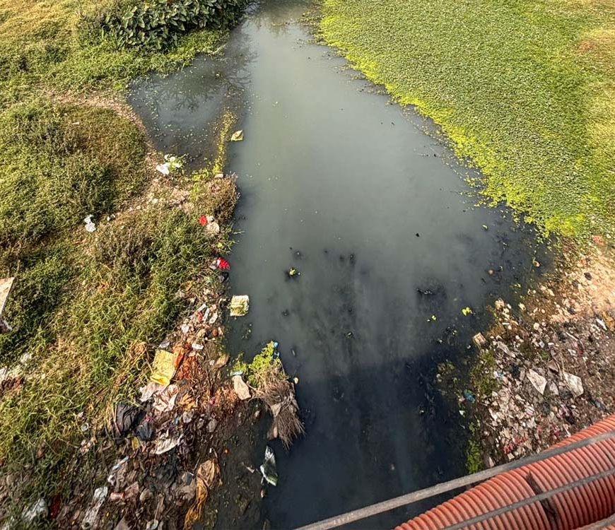 CG हाईकोर्ट की सख्ती, पूछा- 4 STP से कैसे साफ होगा अरपा नदी में गिरने वाले 70 नालों का पानी?