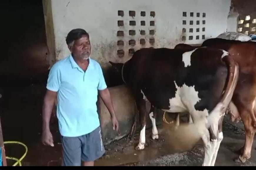 एक गाय से शुरू हुआ सफर, आज 10 पशुओं का समृद्ध पशुधन