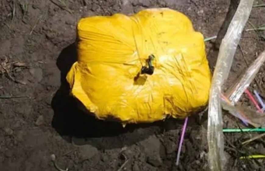 अमृतसर में BSF की बड़ी कार्रवाई, 5 किलो अफीम और 5 किलो हेरोइन बरामद; ड्रोन भी मिला