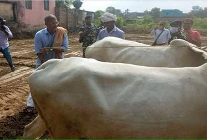 नाना पाटेकर का बिहार से खास नाता, कभी खेत में हल चलाया तो जवानों के बीच सुनाए फिल्मी डायलॉग