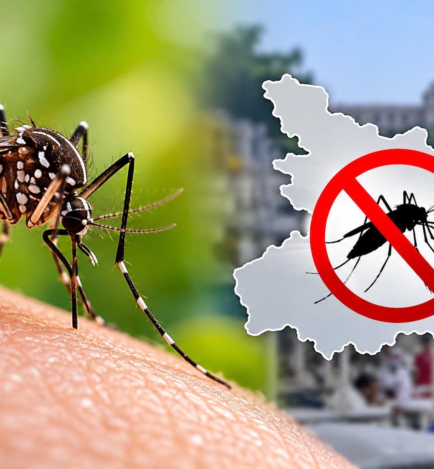 बिहार में डेंगू पर बड़ी राहत! इस साल अब तक एक भी मौत नहीं, मामलों में भी भारी गिरावट