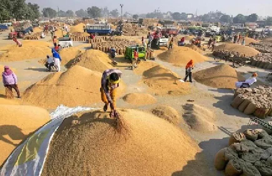 हरियाणा में धान खरीद को लेकर किसानों का फूटा गुस्सा, जींद में लगाया जाम; अंबाला मंडियों में पुलिस तैनात