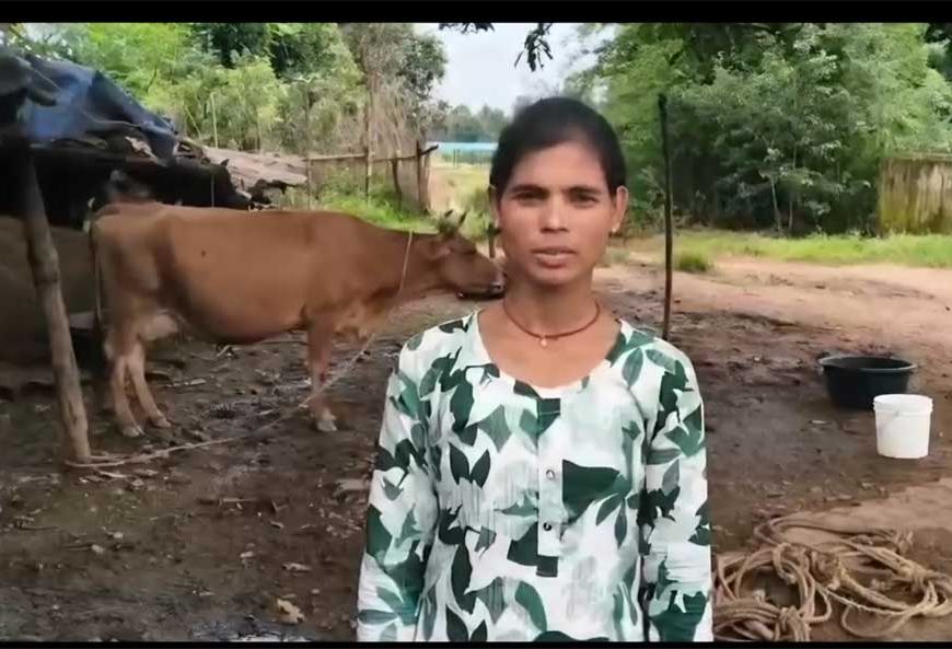 डेयरी व्यवसाय से संध्या बनीं आत्मनिर्भर, दूध की बिक्री से हर महीने हो रही 15 हजार रुपये की बचत