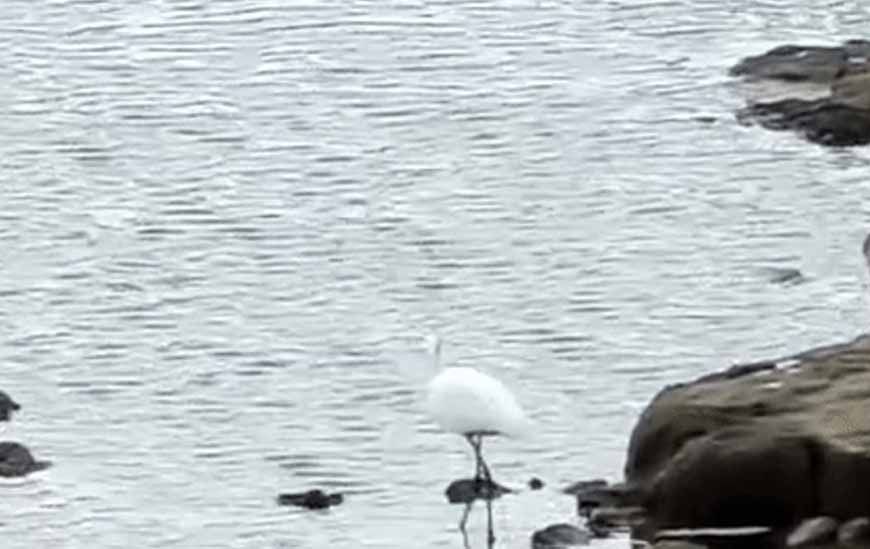 MP में मौसम का कहर: 2025 में मौसमी घटनाओं से 537 लोगों की मौत, शहरों से गांवों तक खतरा