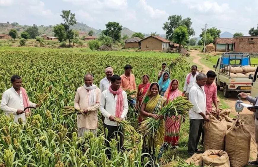 झारखंड में रागी की खेती से किसानों की बढ़ी कमाई, ₹33 किलो बिक रहा मड़ुआ; कम लागत में अच्छा मुनाफा
