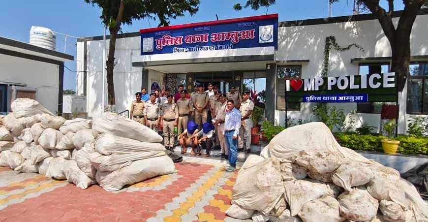 मध्यप्रदेश पुलिस की बड़ी कार्रवाई, अलीराजपुर में 20 क्विंटल गांजे के पौधे जब्त; ₹1 करोड़ की संपत्ति पर एक्शन