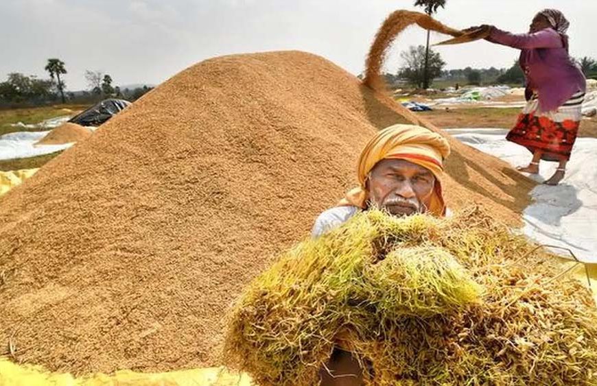हरियाणा में धान भीगने पर भड़के किसान, कृषि मंत्री के सामने जमकर की नारेबाजी