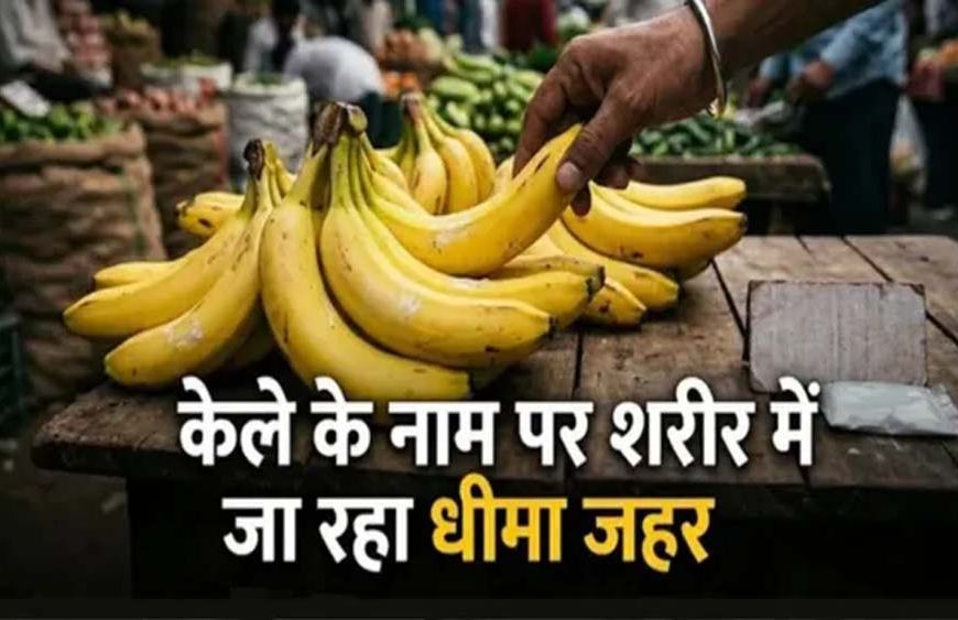 नवरात्र में केले की बढ़ी मांग, केमिकल से पकाने का खतरा! खरीदते समय इन बातों का रखें ध्यान
