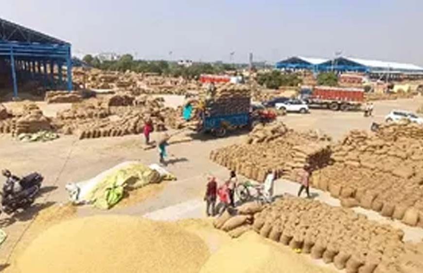 हरियाणा में 1,433 चावल मिलों का ऑनलाइन पंजीकरण, 1,215 का जियो-फेंसिंग से सत्यापन पूरा