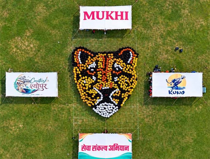 ह्यूमन रंगोली अन्तर्गत महिलाओं एवं छात्राओं ने बनाई मादा चीता मुखी की विशाल प्रतिकृति