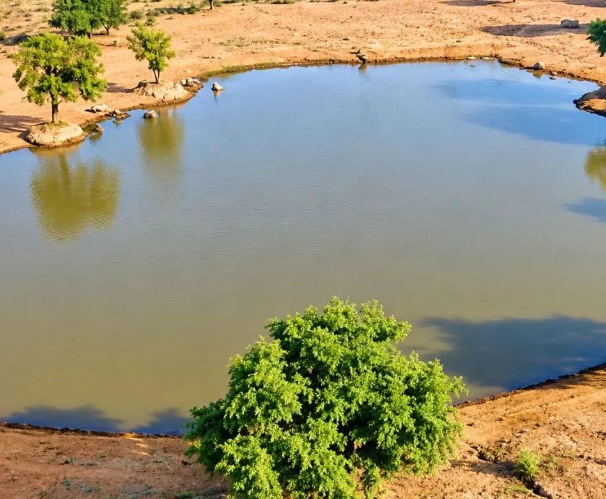 थार में कम बारिश के बावजूद भरे हैं तीन तालाब, जैसलमेर के खेतोलाई गांव की जल संरक्षण परंपरा बनी मिसाल