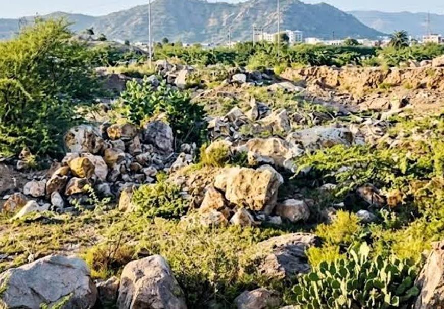 राजस्थान में संकट में अरावली की छोटी पहाड़ियां, निर्माण और खनन से 50% तक चट्टानें नष्ट