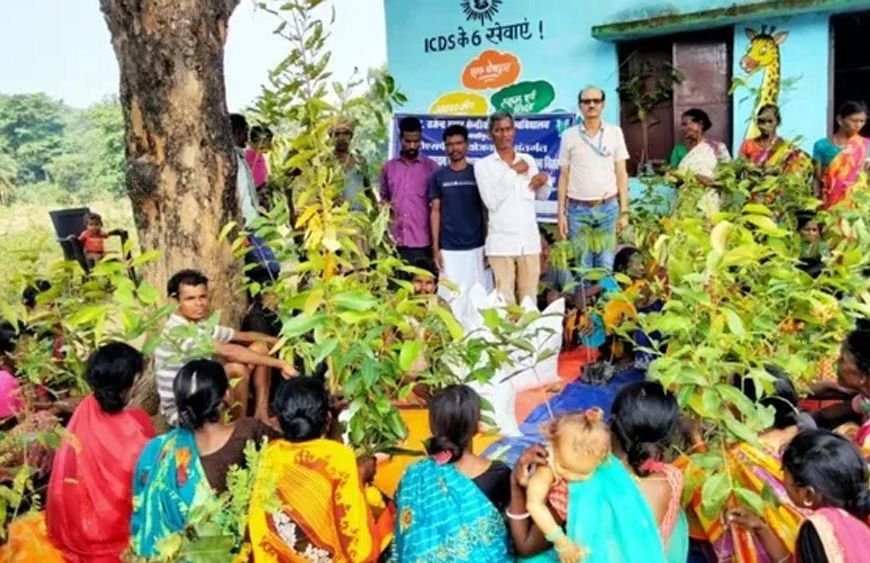 जमुई में औषधीय खेती से आत्मनिर्भर बनेंगी आदिवासी महिलाएं, 50 से अधिक को प्रशिक्षण