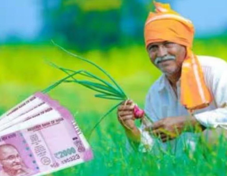 अरवल के किसानों को रबी फसलों के बीज पर मिलेगा 65% अनुदान, ऑनलाइन आवेदन शुरू