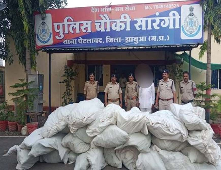 मध्यप्रदेश पुलिस की अवैध मादक पदार्थो के विरूद्ध बड़ी कार्रवाई