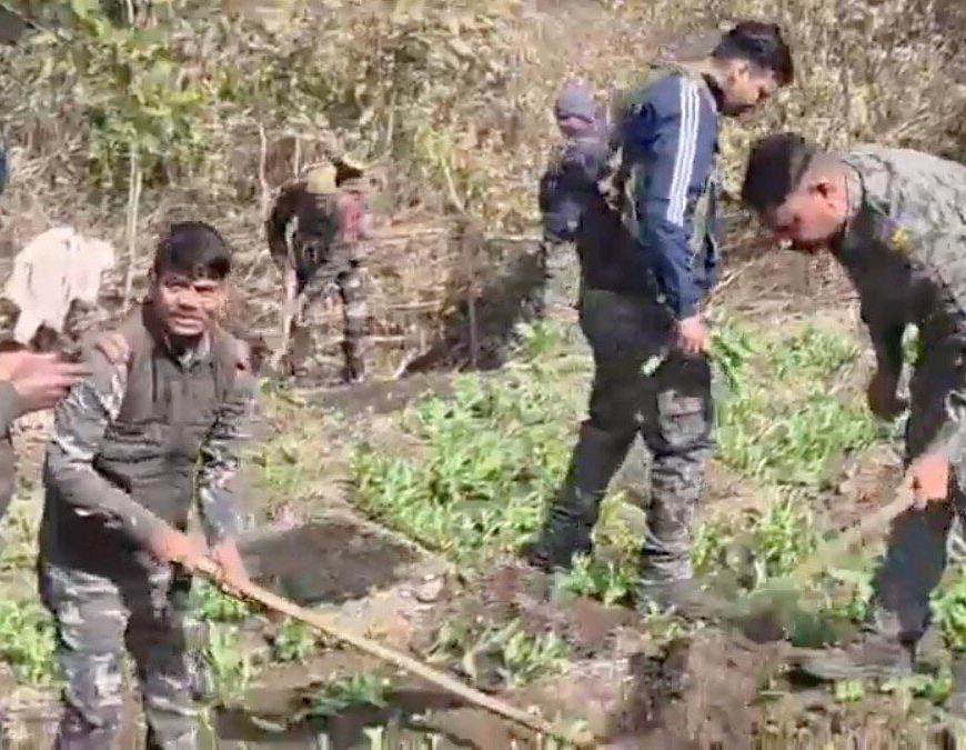 झारखंड में अफीम की खेती पर वन विभाग का शिकंजा, जीआईएस और ड्रोन से 18 जिलों में निगरानी तेज
